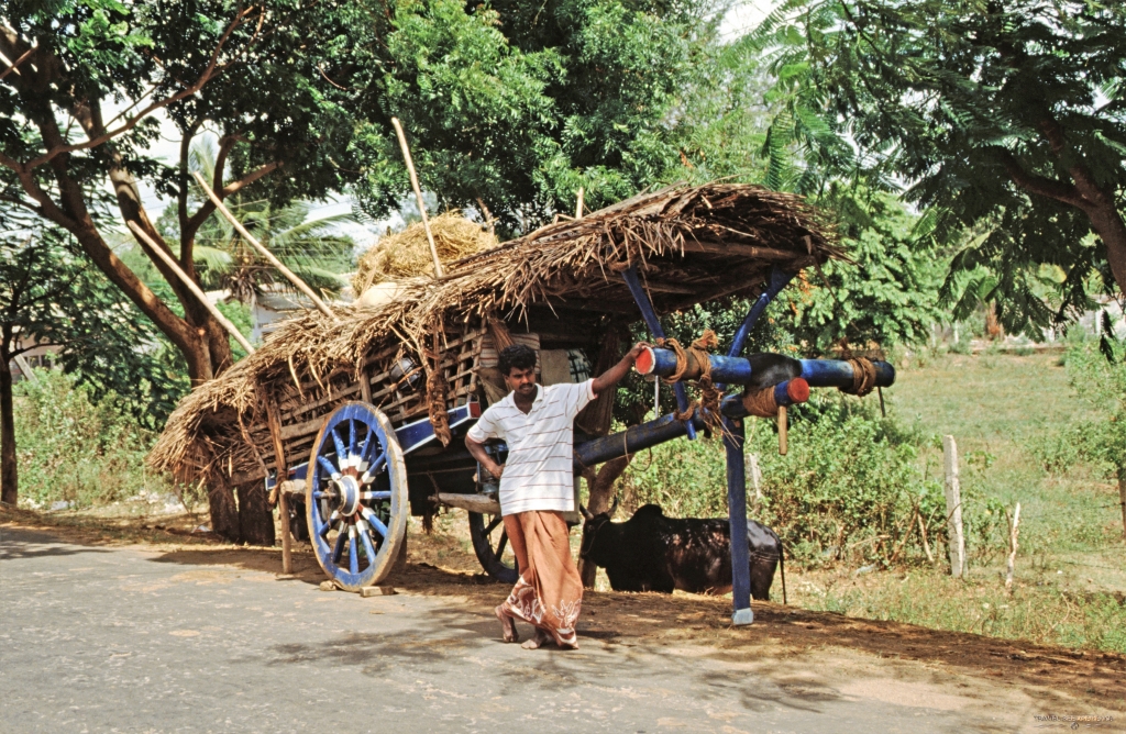 Menschen Anuradhapura Sri Lanka